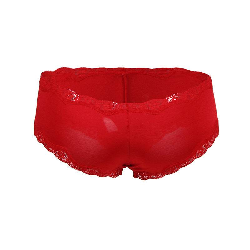 Women's Plus Size Lace See-through Panties - Mubimart