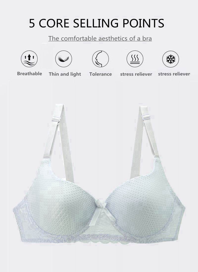 Plus Size Lace Lingerie Bra - Mubimart