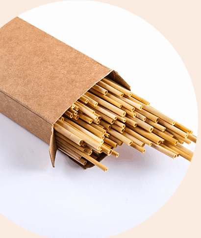 100Pcs 20cm Natural Wheat Straw Reusable Drinking Straws - Mubimart