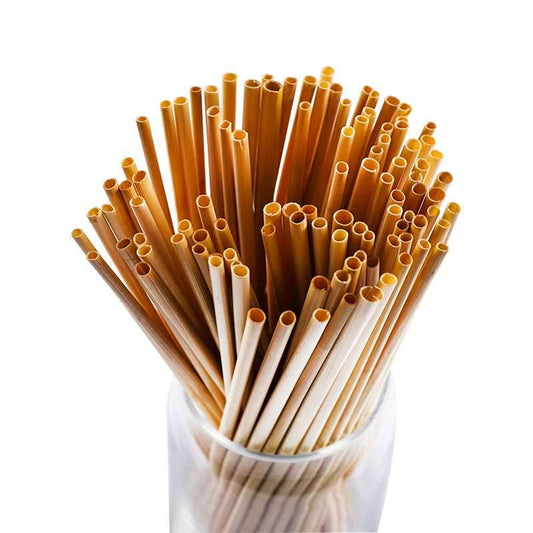 100Pcs 20cm Natural Wheat Straw Reusable Drinking Straws - Mubimart