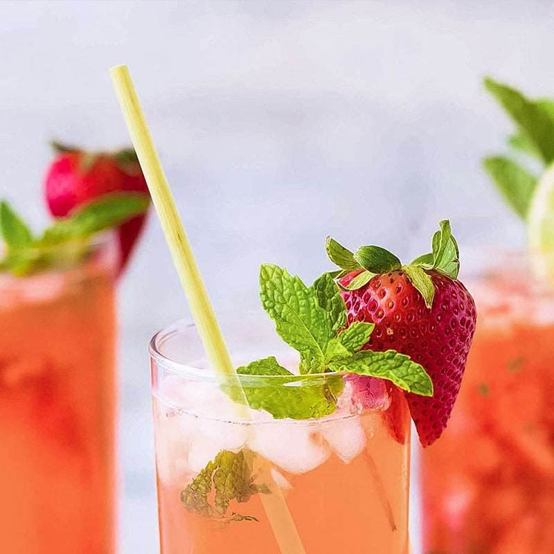 100Pcs 20cm Natural Wheat Straw Reusable Drinking Straws - Mubimart