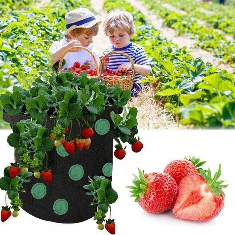 Strawberry Grow Bag Nonwoven Fabric Vertical Jardin Garden Hanging Plant Bag Vegetable Potato Planter Bag For Greenhouse - Mubimart