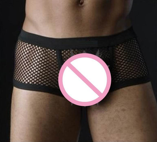Black White Sexy Mens Boxers Shorts Transparent Mesh See Through Erotic Underpants Low Rise Man Sex Underwear Lingerie Trunk - Mubimart