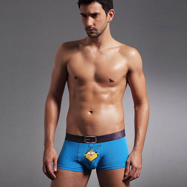Men's Boxer Briefs Mysterious Bird Male Boxer Briefs U Convex Design Briefs - Mubimart