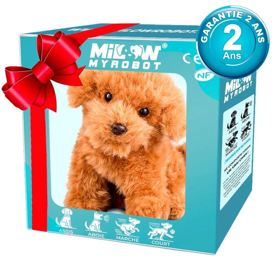 32d39736-7358-4a38-9759-964679fd1f6d - Mubimart