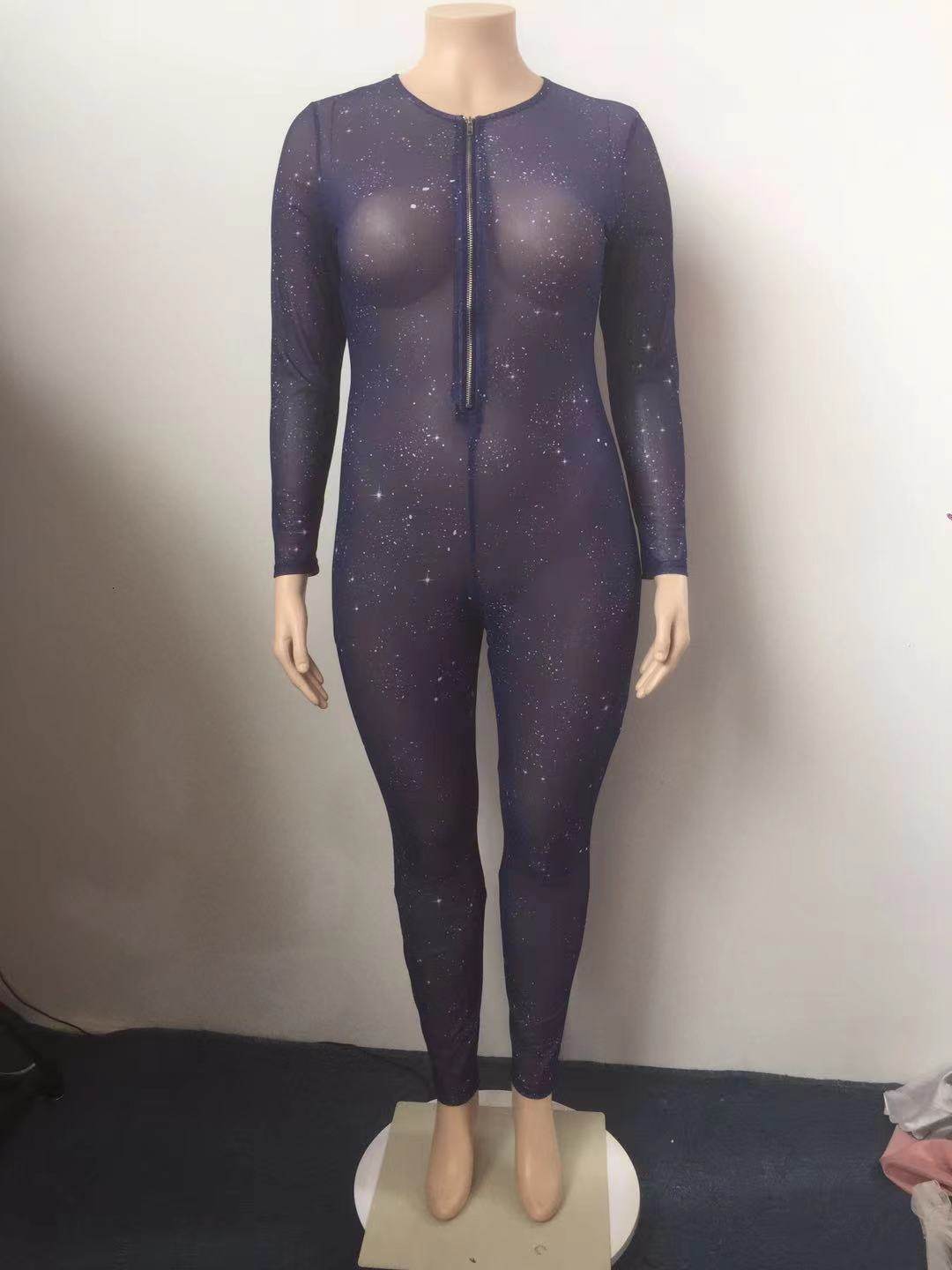 Hot Sale Sheer Temptation Printed Mesh Plus Size Jumpsuit - Mubimart