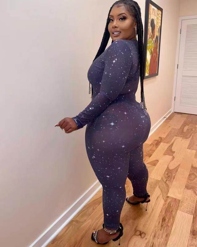 Hot Sale Sheer Temptation Printed Mesh Plus Size Jumpsuit - Mubimart