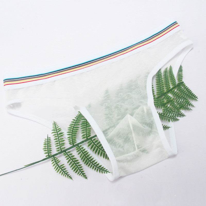 Men's Briefs Mesh Panties - Mubimart