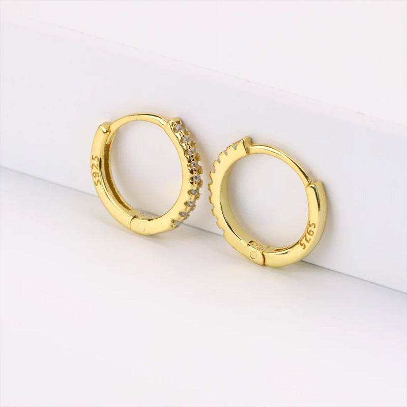 Terra Hoop Earrings - Mubimart