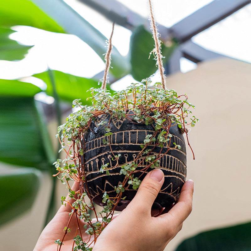 Balcony Wall Hanging Decorative Geometric Hanging Basket Planter - Mubimart