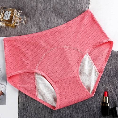 5PCS Menstrual Underwear Women Leak Proof Panties - Mubimart
