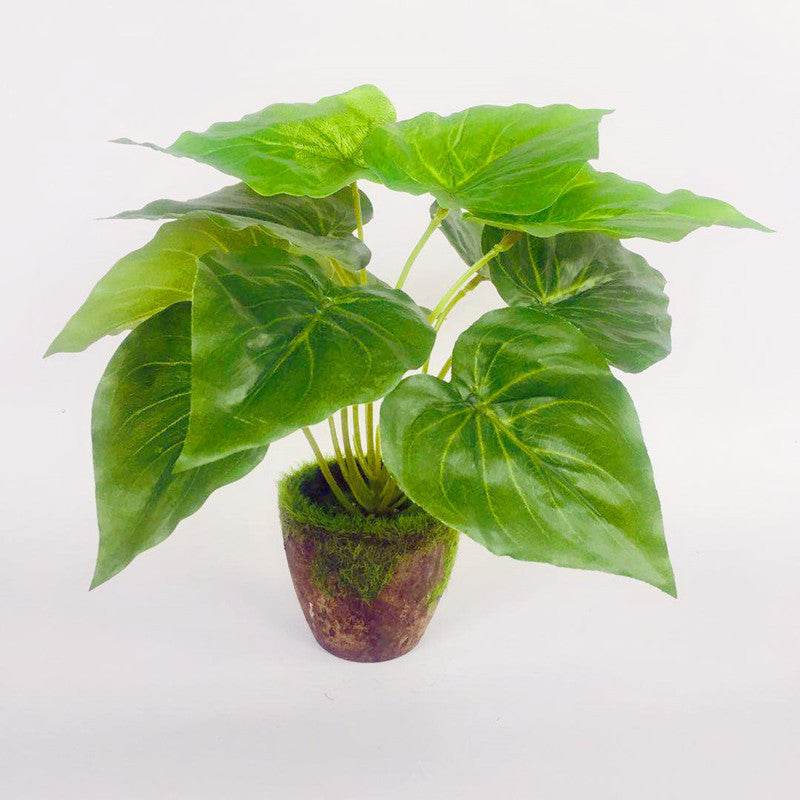 Artificial Green Plants Potted Artificial Flowers Small Ornaments - Mubimart