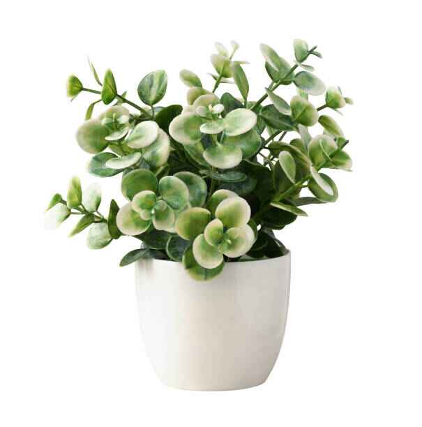 Artificial plants