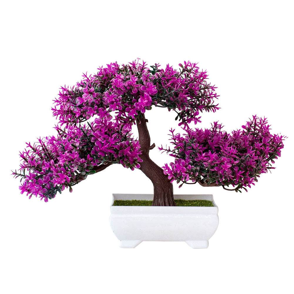 Bonsai potted plants - Mubimart