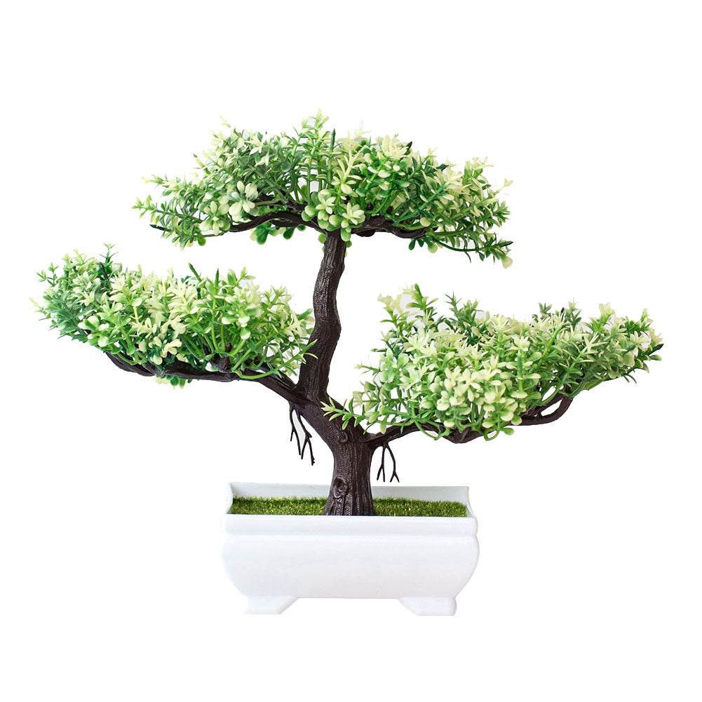 Bonsai potted plants - Mubimart