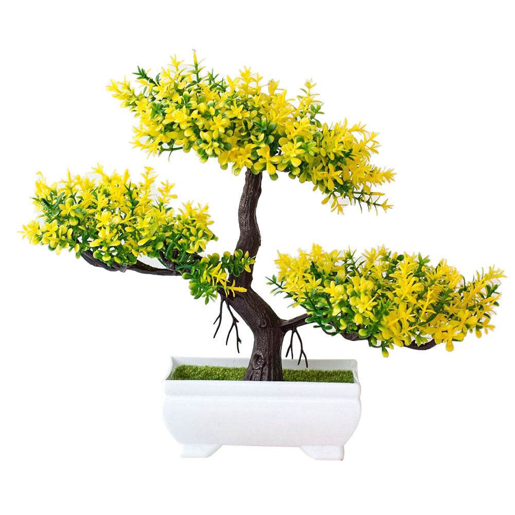 Bonsai potted plants - Mubimart