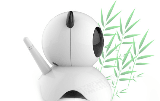 Care Home Security Camera - Mubimart