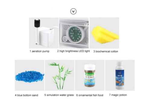 Creative Mini Table Fish Tank - Mubimart