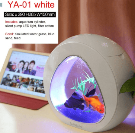 Creative Mini Table Fish Tank - Mubimart