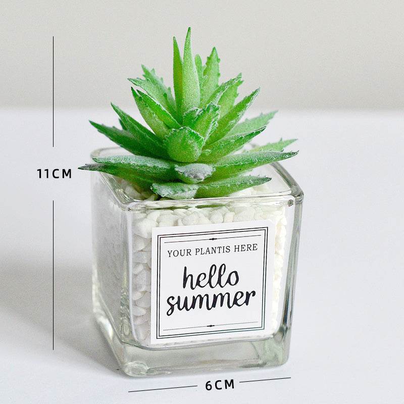 Creative decoration office potted plants - Mubimart