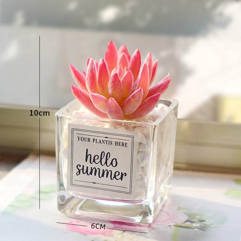 Creative decoration office potted plants - Mubimart