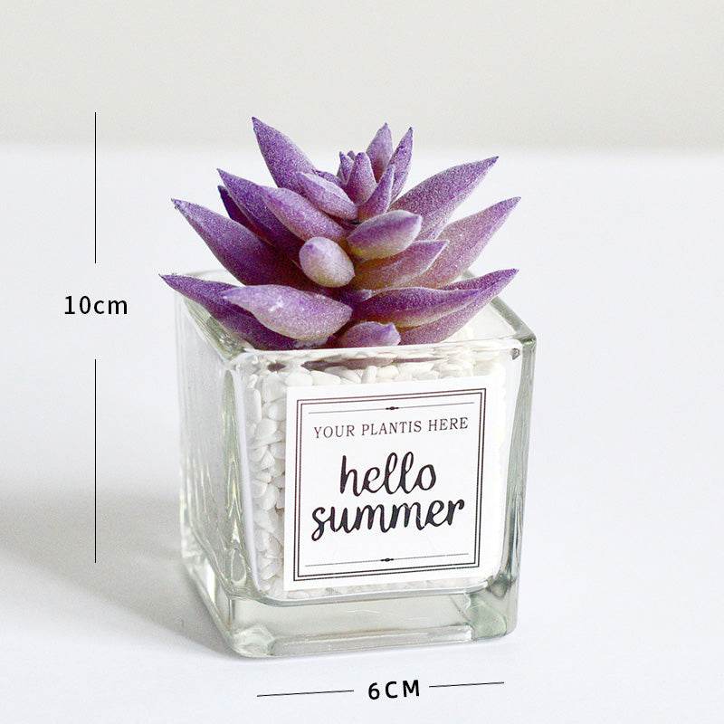 Creative decoration office potted plants - Mubimart