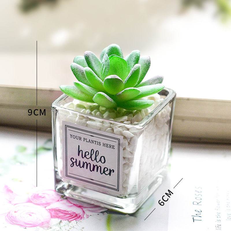 Creative decoration office potted plants - Mubimart