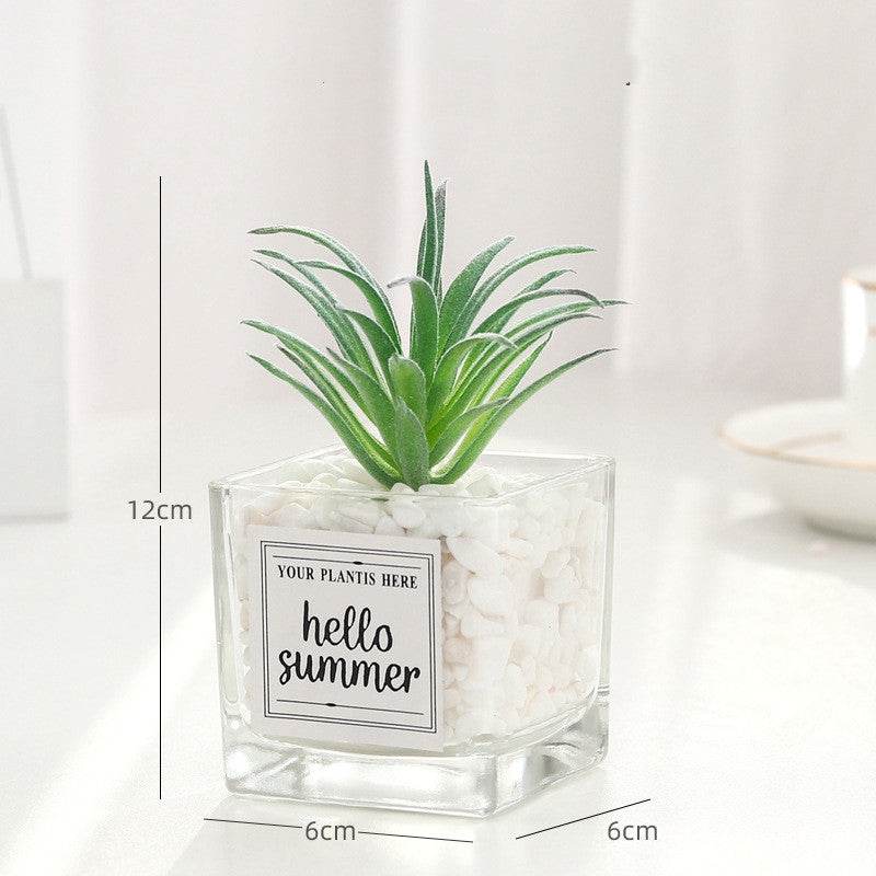 Creative decoration office potted plants - Mubimart
