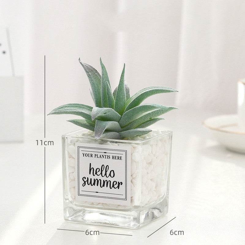 Creative decoration office potted plants - Mubimart