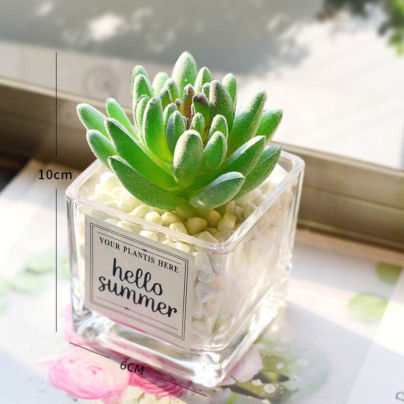 Creative decoration office potted plants - Mubimart