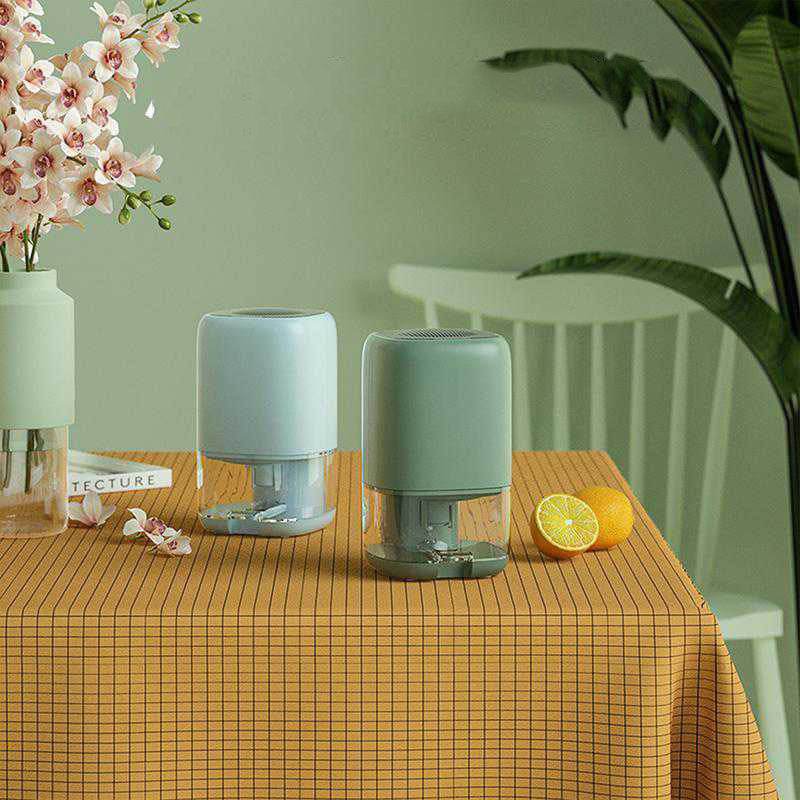 Dehumidifier Dryer Dehumidifier Humidifier Portable Mute - Mubimart