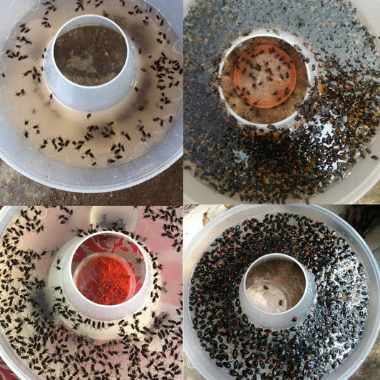 Effective Killer Cockroach Powder Bait Special Insecticide Bug Medicine Insect Reject Pest Control Odorless Bait - Mubimart