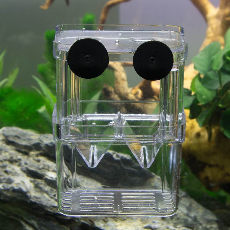 Fish Tank Acrylic Juvenile Fish Hatching Box - Mubimart