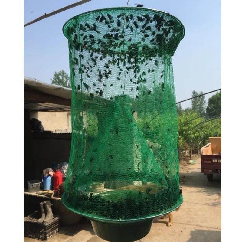 Green Fly Cages In The Community Street Fly Traps Fly Catchers Fly Killers Fly Trap - Mubimart