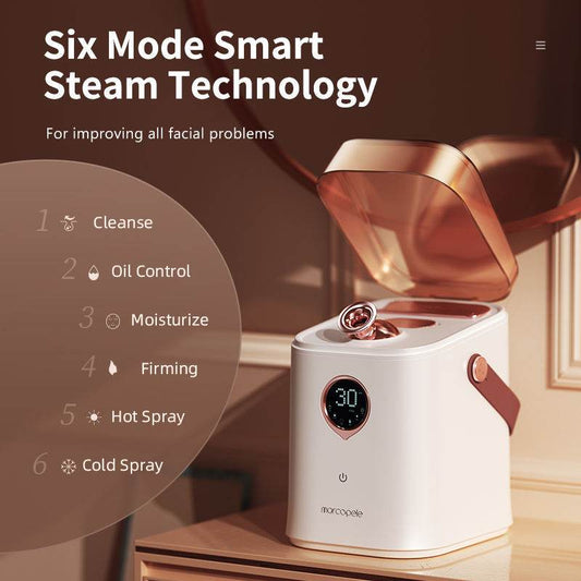 Hot And Cold Double Jet Face Steam Dispenser Water Replenishing Spray - Mubimart