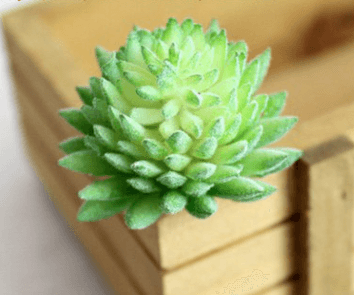Indoor Succulent Green Plants Simulation Plants Decorative Flowers And Plants - Mubimart