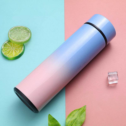 Intelligent Stainless Steel Bottle Cup Temperature Display Vacuum Flasks Travel Car Soup Coffee Mug Water Bottle - Mubimart