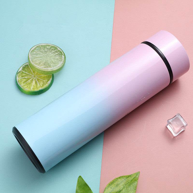 Intelligent Stainless Steel Bottle Cup Temperature Display Vacuum Flasks Travel Car Soup Coffee Mug Water Bottle - Mubimart