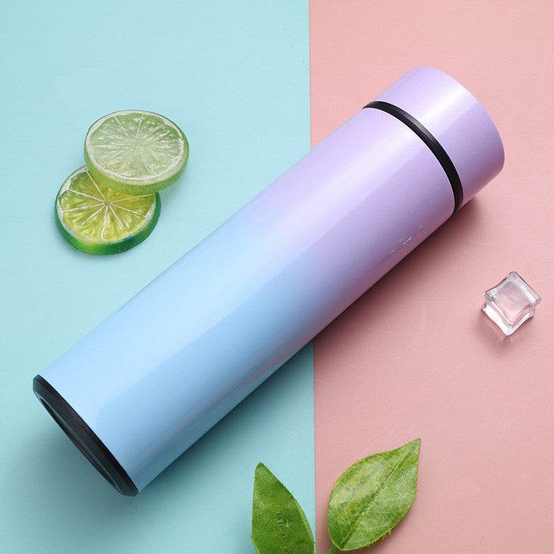 Intelligent Stainless Steel Bottle Cup Temperature Display Vacuum Flasks Travel Car Soup Coffee Mug Water Bottle - Mubimart