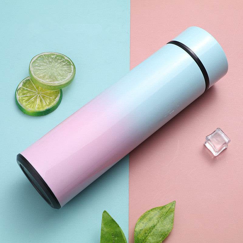 Intelligent Stainless Steel Bottle Cup Temperature Display Vacuum Flasks Travel Car Soup Coffee Mug Water Bottle - Mubimart