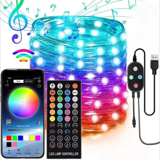 LED Light String 40-key Infrared Wireless Remote And Bluetooth Smart APP Control - Mubimart
