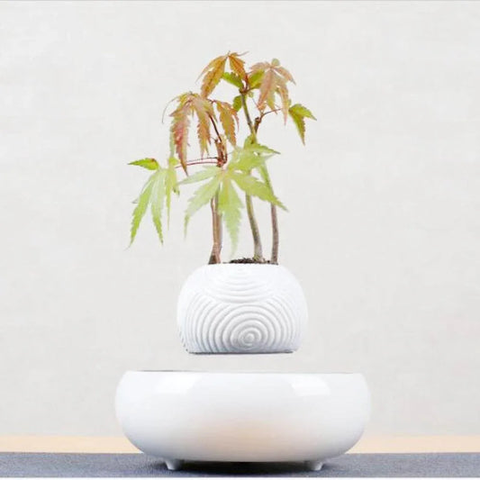 Magnetic-Levitation-Potted-Plants-Mubimart-9199 - Mubimart
