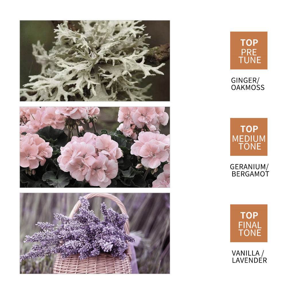 Moisturizing And Smooth Hair Care - Mubimart