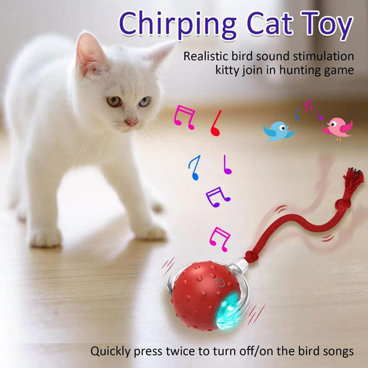 New Cat Rolling Ball Bird Chirping Interactive Cats Pets Toys Mot Pet Products - Mubimart