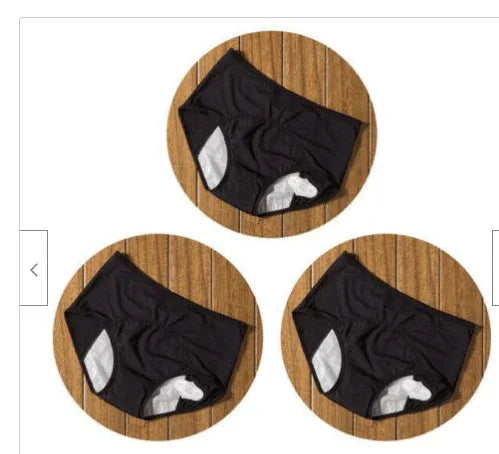 Period-Leak-Proof-Panties-Women-Underwear-Pants-Nylon-Briefs-Mubimart-6960 - Mubimart