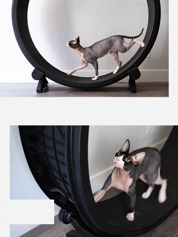 Pet Cat Running Wheel Fitness Toys - Mubimart