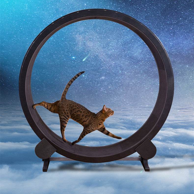 Pet Cat Running Wheel Fitness Toys - Mubimart