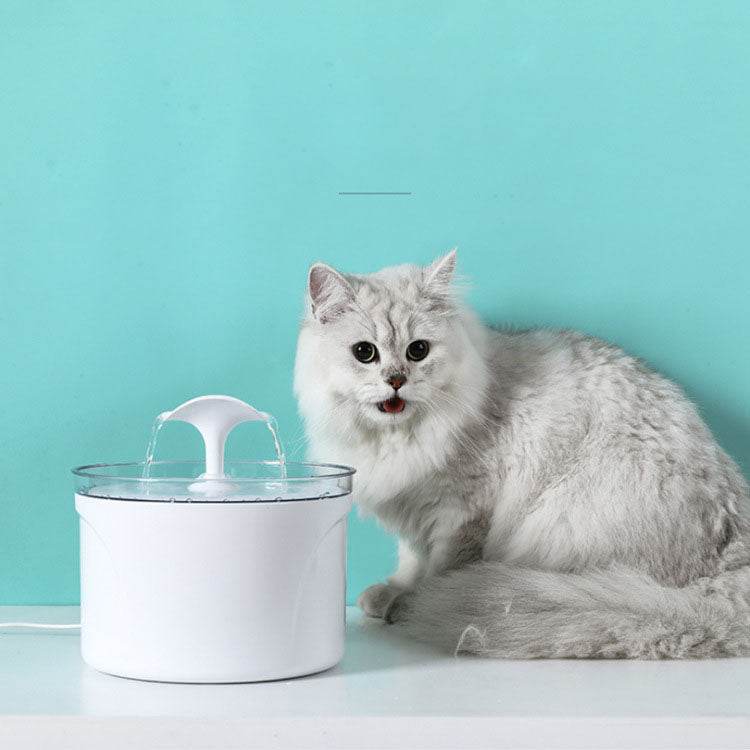 Pet Dog Cat Water Fountain Electric Automatic Water Feeder Dispenser Container LED Water Level Display For Dogs Cats Drink - Mubimart