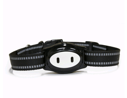 Pet Locator Smart HP01 Cross-Border Mini Pet Tailored Length Adjustable GPS Locator - Mubimart