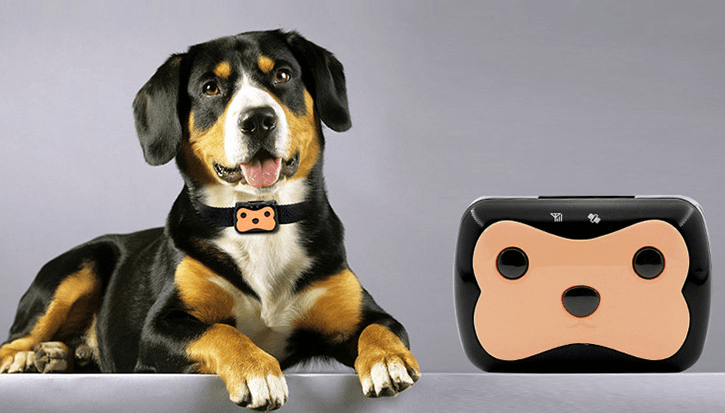 Pet Locator Smart HP01 Cross-Border Mini Pet Tailored Length Adjustable GPS Locator - Mubimart